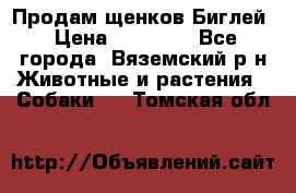 Продам щенков Биглей › Цена ­ 15 000 - Все города, Вяземский р-н Животные и растения » Собаки   . Томская обл.